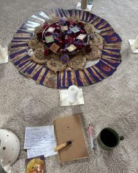 IMG_5626